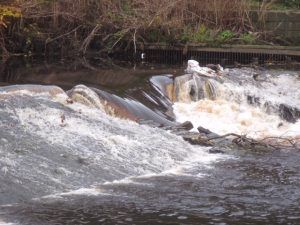 Puzzle Weir Hazard – Update (Nov 2019) Puzzle Weir Hazard – Update (Nov 2019)